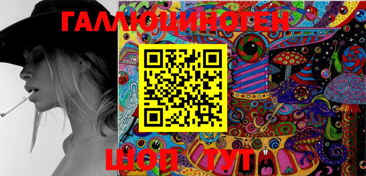 Псилоцибиновые грибы мицелий Новокубанск