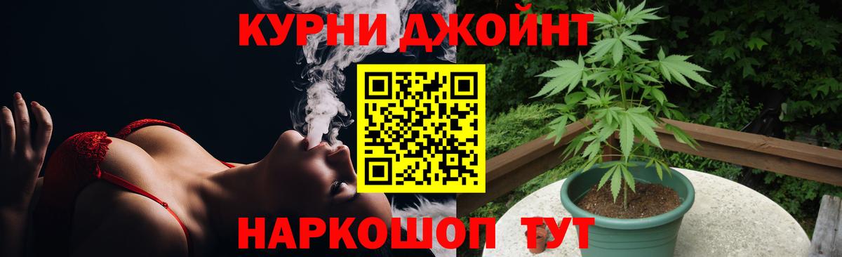 МАРИХУАНА марихуана  Вход с VPN  Марихуана LSD WEED  Каннабис MAZAR  Новокубанск  Шишки марихуана MAZAR 
